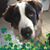 Wennschmee Schmee's profile image