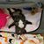 Kristie James Romer's profile image