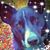 Liam Bootzin's profile image