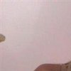 Hattie B.'s profile image