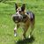 Bobbie Jo Plaisted's profile image