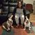 Samantha Bridges's profile image