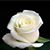 Lynsey Lou's profile image