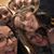 Natalie Whitt Murphy's profile image