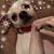Maria Del Pilar Gilbert's profile image