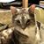 Sharon Grove Mccamy's profile image