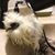 Shoshanah Marohn's profile image