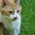 Teri Talbot's profile image