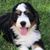 Karen Wright Warner's profile image