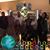 Robin Ann Gagliardi-Stiglin's profile image