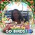 Christina DeRosa Allegra's profile image