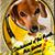 Judy Rothenberger's profile image