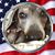 Amy Guinther's profile image