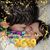Sydney Costa's profile image