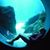 Kathy Simmons Marks's profile image