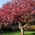 Barb Darg- LeDuc's profile image