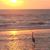 Karen McCarley Munoz's profile image