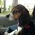 Sarah Kahler's profile image