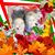 Giovanna Dipietro Fronte's profile image