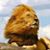 Chris Roberts's profile image