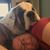 Holly Thompson Folsom's profile image