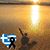 Andreas Bourdoumis's profile image