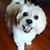 Janice Robertson Satterfield's profile image