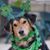 Jennifer Randolph Graddy's profile image