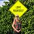 Kathy Davis Ellingson's profile image
