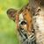 Jennifer Morris's profile image