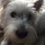 Sara McCormick's profile image