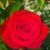 Maria Wyley's profile image