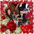 Francine Yorck's profile image