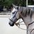 Bruce Sandifer's profile image