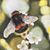 Stacey R. Wilder's profile image