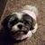 Samala Holt's profile image