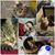 Amber Smith's profile image
