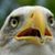 Steven Swinko's profile image