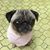 Susan Adlis's profile image