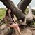 Consuelo Murillo's profile image