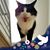 Rich Farley's profile image