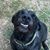TracyRandy Galneau's profile image