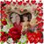 Sharon Davis Harradine's profile image