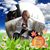 Judy Thomas Banks's profile image