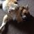 Claudia Garcia's profile image