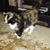 Christy Jones's profile image