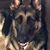 Linda Brolund Roussard's profile image