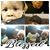 DonnaMarianetta Peoples's profile image