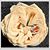Christy White's profile image