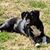 Rhoda Eldot's profile image